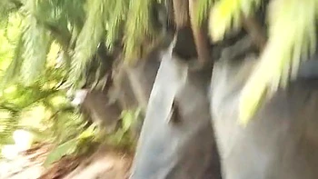 Husband Wife Full Deshi Sexy Videos