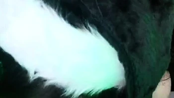 Usatame – Shego Xmas (Video)