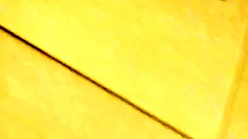 Wild Asian hottie blowjob and hardcore sex