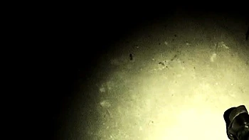 Cute teens blowjob and doggystyle fuck