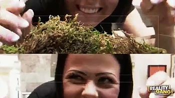 Loni evans: Blowjob, Doggy  Cowgirl Porn