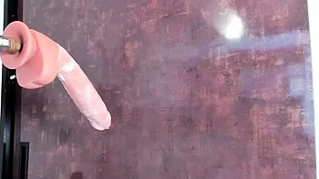 Amateur brunette ariana marie solo toying