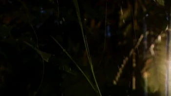 Stunning anal fuck in the cowgirl pose with a hot blonde Judy