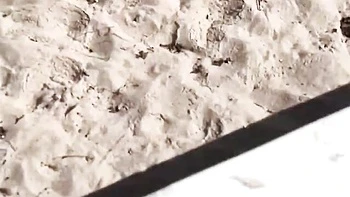 Aristocratic Kali Roses and Kali - oral porn - Mr Lucky Life