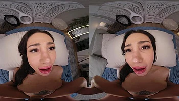 One Wild Night in Vegas