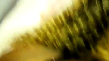 Big boob brunette masturbates on webcam