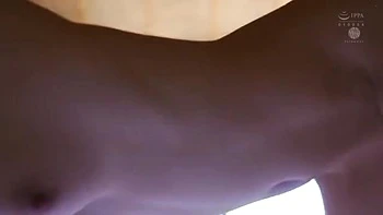 x1x892EEC6E7233C775C6