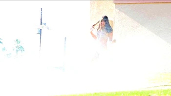 Beautiful Sonya having a horny solo toy masturbation