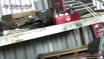 Watch admirable lovebird's video