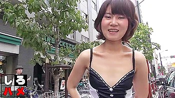 Japanese Spinner Delightful Adult Clip