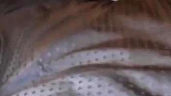 Streaming big cock close ups