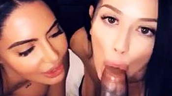 Portrait: Blowjob, Doggy  Big Tits Porn