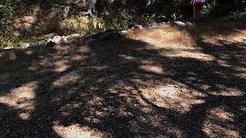 Girl Gets Her Ball From The Neighbor And Gets A Good Balling