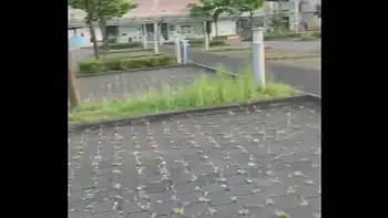 pissing against my car seat