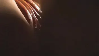 Close-up penetrations like in a dream. Her lube oozes out of her pussy