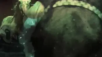 Dark Lantern Entertainment presents 'Beauty And The Beast'