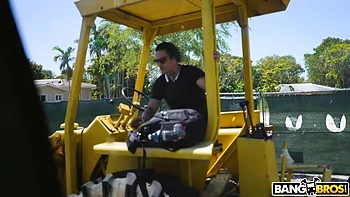 Brune américaine avec chatte serrée