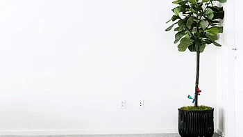 Chica teen se exhibe y se masturba sola caliente