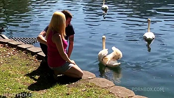 Couples américains et européens baisent dur en cam