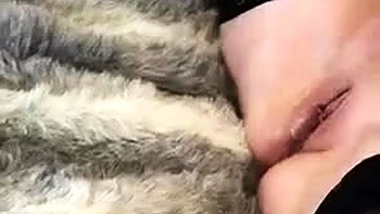 Esclava MILF morena follada a cuatro con corrida