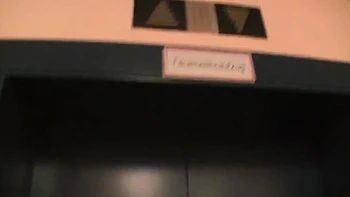 Lena Nitro Vintage College Dreier mit doppeltem Blasen