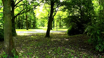 Adolescente brune fait une branlette risquée en POV dehors