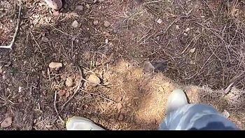 Indian Desi Muslim Girl Cheating Boyfriend And Rough Sex With Village Boy At Jungle Outdoor - Hindi Audio