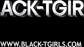 Black TGirls - trans video